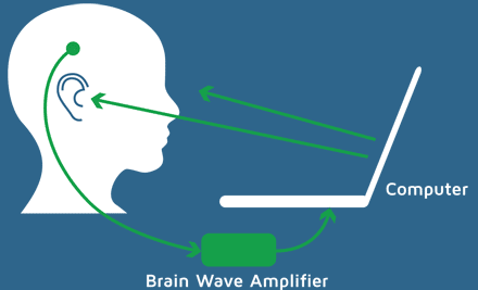 Shows how the brain waves are picked up from the user's head, then amplified, then sent to the computer, and then the application program sends visual and audio feedback to the user.